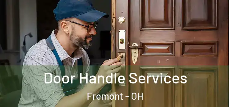 Door Handle Services Fremont - OH