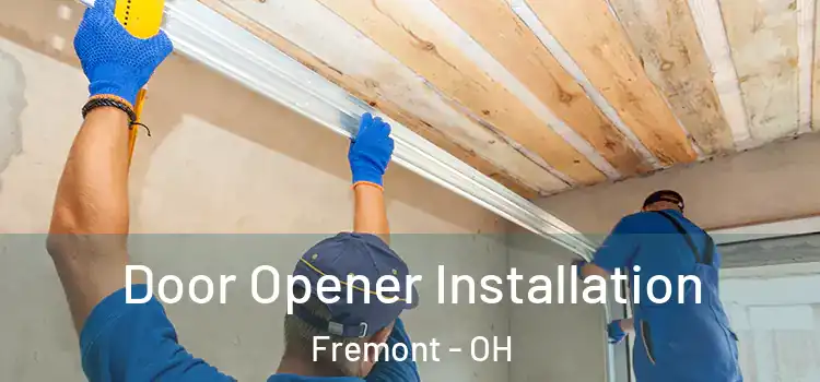  Door Opener Installation Fremont - OH