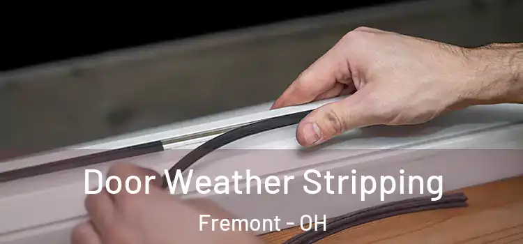 Door Weather Stripping Fremont - OH