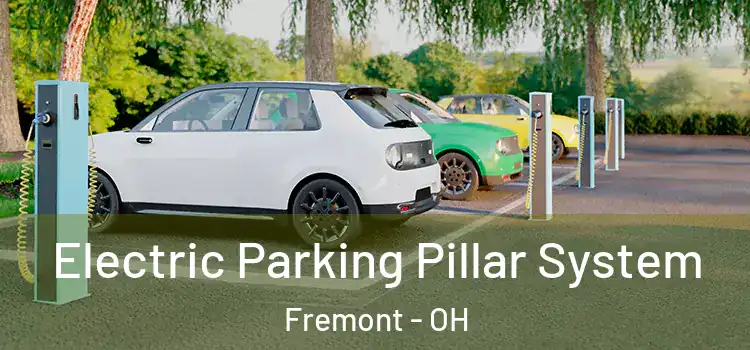  Electric Parking Pillar System Fremont - OH