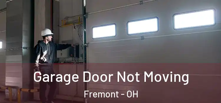  Garage Door Not Moving Fremont - OH