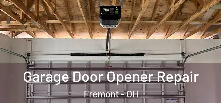  Garage Door Opener Repair Fremont - OH