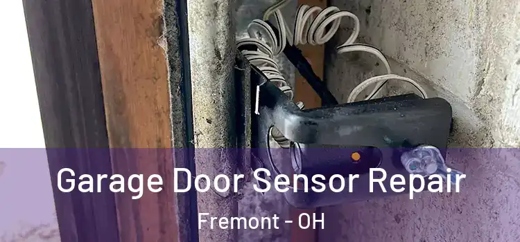 Garage Door Sensor Repair Fremont - OH