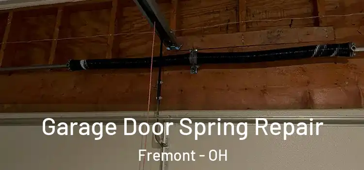  Garage Door Spring Repair Fremont - OH