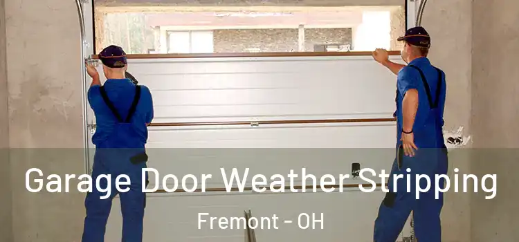  Garage Door Weather Stripping Fremont - OH