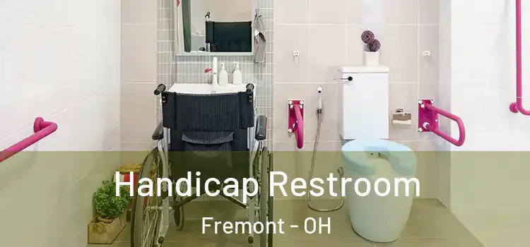 Handicap Restroom Fremont - OH