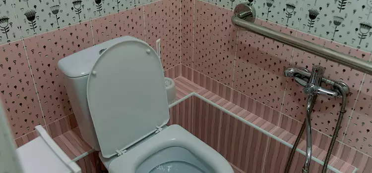 Meeting Diverse Needs With Accessible Restroom Solutions in Fremont, OH