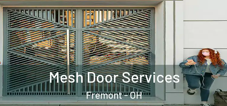 Mesh Door Services Fremont - OH