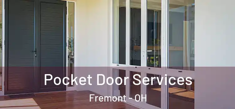 Pocket Door Services Fremont - OH