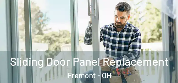  Sliding Door Panel Replacement Fremont - OH