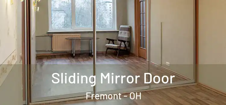  Sliding Mirror Door Fremont - OH